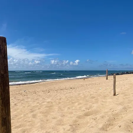 Roxy House Casa de Férias